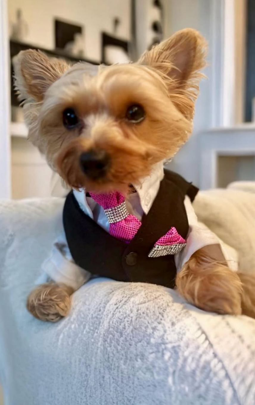 Vest