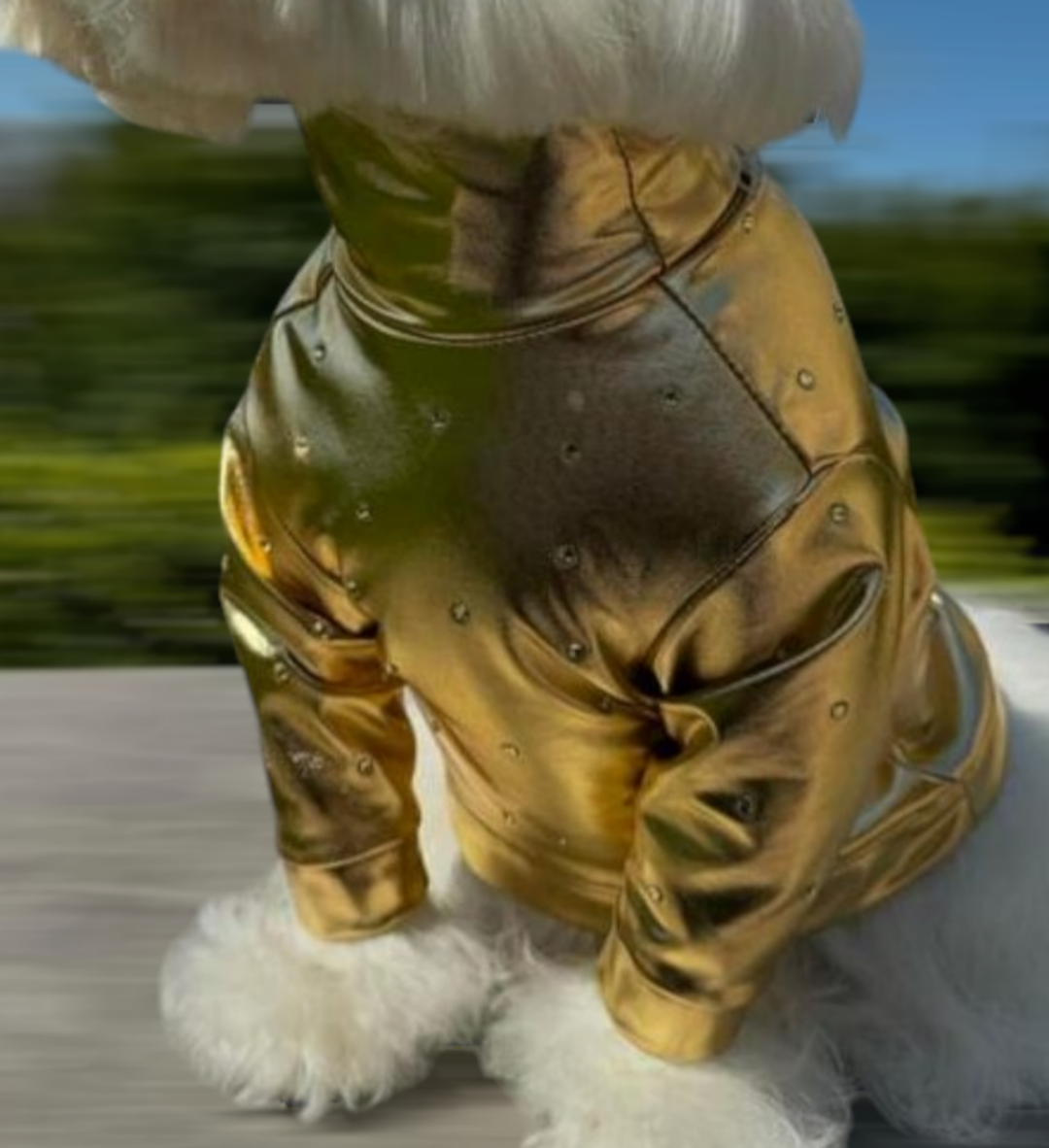 Golden sparkle