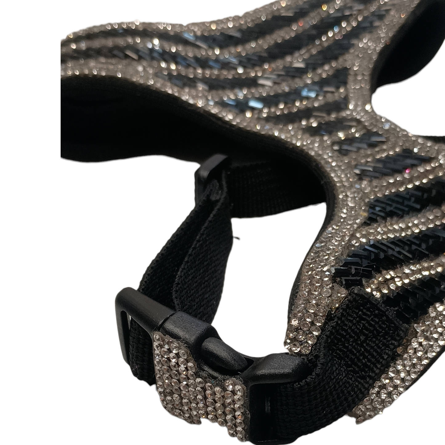 Sparkle Raven